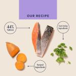 Pooch & Mutt Grain-Free Salmon Sweet Potato Dog Food