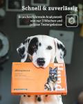 Vetevo Dog Allergy Test Kit