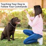 Dog Training Whistles for Recall - 2 Pack