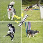 Dog Training Whistles for Recall - 2 Pack