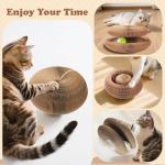 Kitty Kurlz Fun Cat Toys and Scratchers