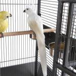 Spacious Metal Bird Cage with Rolling Wheels