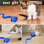 QILUCKY Interactive Cat Toy Ball with Tail