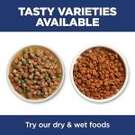 Hill's Science Diet Chicken Recipe Cat Food 4 lb