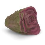 Petface Red Lettuce Latex Dog Toy with Squeaker