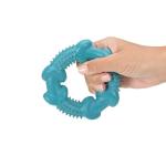 Rubber Ring Chew Toy for Puppies and Small Dogs