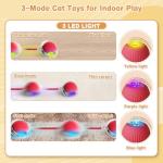 Interactive 360° Cat Ball Toy for Indoor Cats