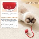 Interactive 360° Cat Ball Toy for Indoor Cats