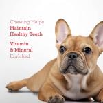 Dreambone Triple Flavor Rawhide-Free Dog Chews