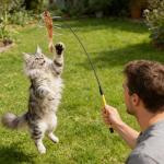 7-Piece Cat Wand Toy Set for Indoor Fun