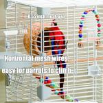 Basic Bird Cage with Accessories for Birds