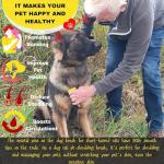 FurGroom Deshedding Tool for Dogs and Cats