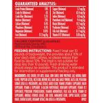 Soft & Chewy Beef & Filet Mignon Dog Treats