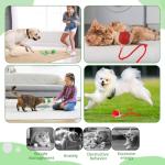Interactive Self-Moving Toy Ball for Dogs & Cats