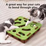 Interactive Cat Puzzle Toy with 3 Balls