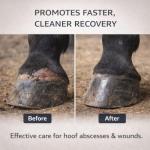 VetSet Hoof Poultice for Horses | Vet Approved