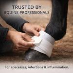 VetSet Hoof Poultice for Horses | Vet Approved