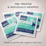 VetSet Hoof Poultice for Horses | Vet Approved