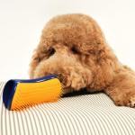 Pet Teezer Dog Grooming and Detangling Brush