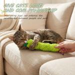 Catnip Toy Set for Indoor Cats: Caterpillar, Carrot, Worm