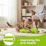 JORcadis 2-Pack Interactive Catnip Toys