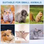 Dog Rocks and Small Animal Chew Toys