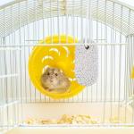 Dog Rocks and Small Animal Chew Toys