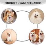 3 Pack Squeaky Dog Balls for Small Pets