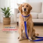 Strong Retractable Dog Leash for Training 10M