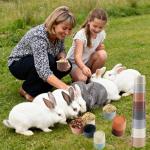 Interactive Stackable Cups for Small Pets