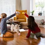 3 Pack Squeaky Dog Balls for Small Pets