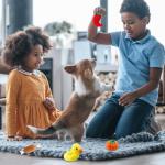 4 Pcs Plush Squeaky Dog Toys for Play