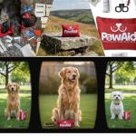 34-Piece Pet First Aid Kit for Dogs