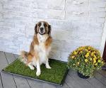 Portable Dog Toilet with Fake Grass 51x63.5 cm