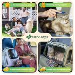 KeepGoing Pet First Aid Kit for Cats and Dogs