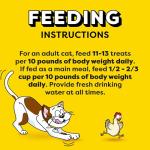 Temptations Chicken Flavor Cat Treats, 16 oz