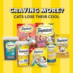 Temptations Cat Treats Variety Pack - 4 Pouches