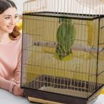 Adjustable Bird Cage Seed Catcher Cover - Black