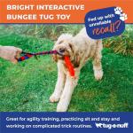 Bright Durable Bungee Tug Toy for Dogs