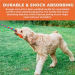Bright Durable Bungee Tug Toy for Dogs