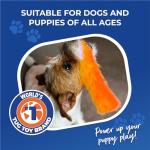 Bright Durable Bungee Tug Toy for Dogs