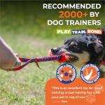 Bright Durable Bungee Tug Toy for Dogs