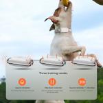Remote Training Collar for Dogs – 3000FT Range