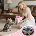Interactive Cat Toys Set with Tunnel and Balls