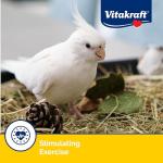 Vitakraft Crunch Sticks for Cockatiels - Apricot Peach