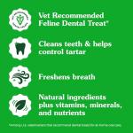 Greenies Cat Dental Treats, Chicken Flavor, 9.75 oz
