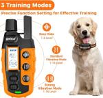 Rechargeable Waterproof Dog Training Collar with Remote
