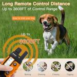 Rechargeable Waterproof Dog Training Collar with Remote
