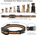 Rechargeable Waterproof Dog Training Collar with Remote