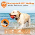 Rechargeable Waterproof Dog Training Collar with Remote